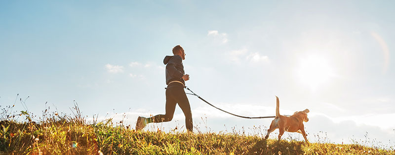 Courir avec un harnais pour chien pour faciliter sa course