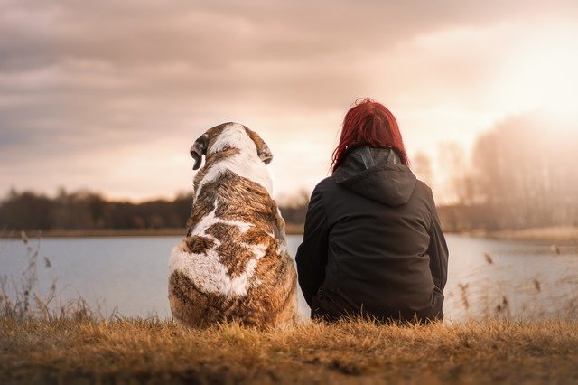 Un chien et sa maîtresse en train de regarder l'horizon
