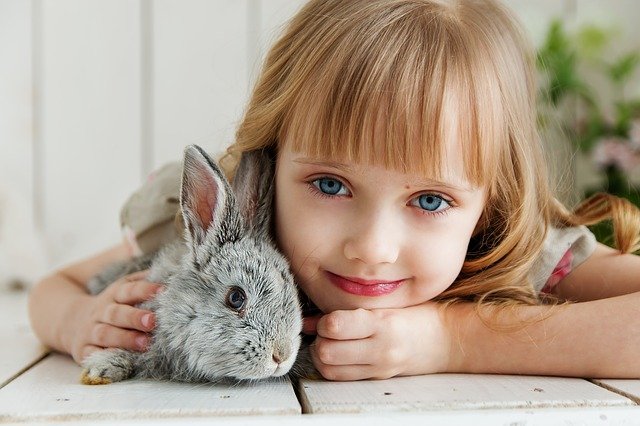 Une petite fille vient d'adopter un lapin